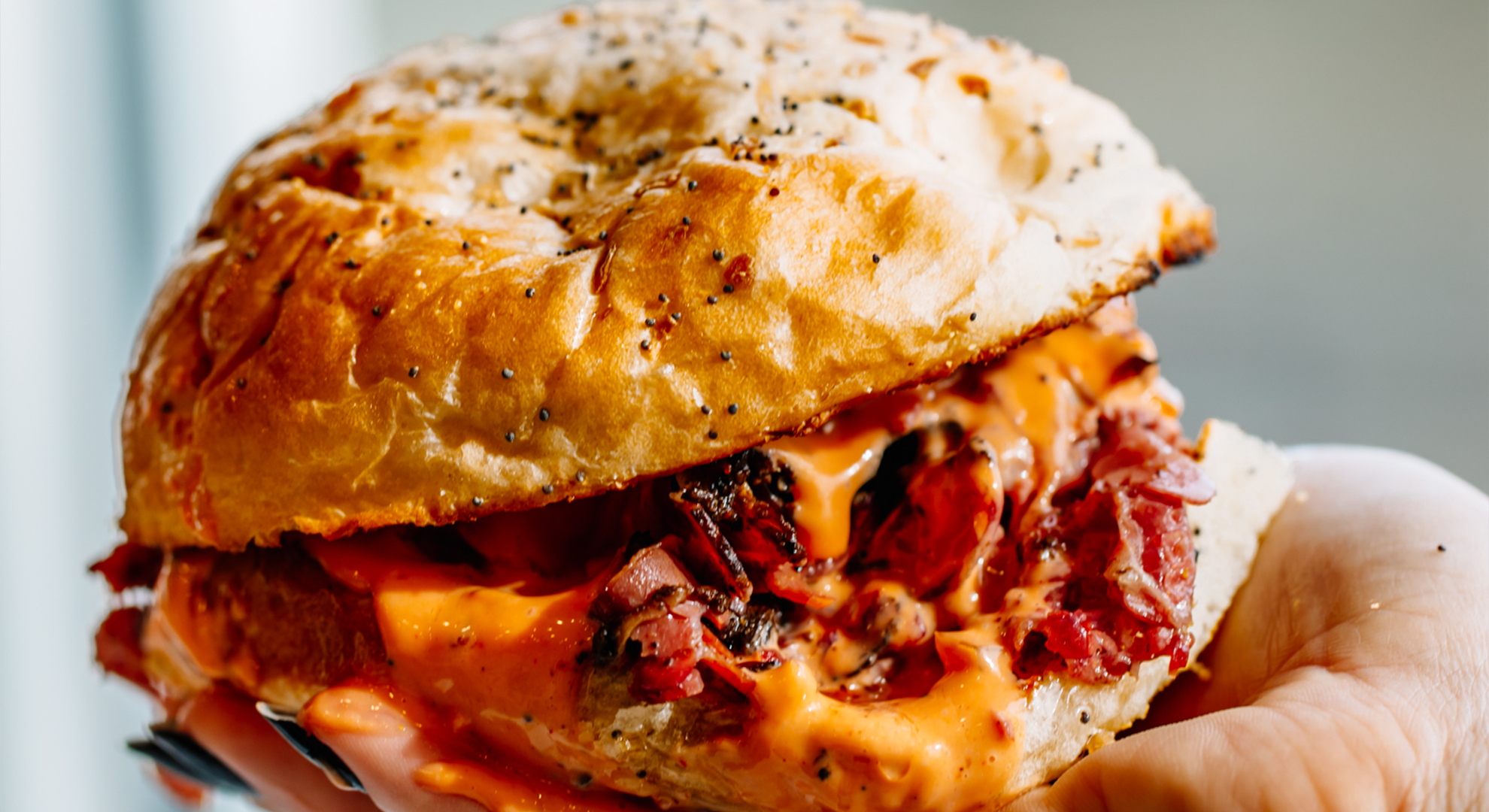 A New Chapter in Troy